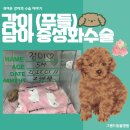 그랜드동물병원 이미지