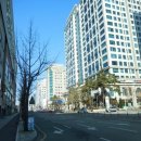 둔산중로-11 이미지