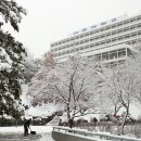 아주대학교