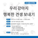 수원시청 대강당 이미지