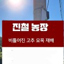 진철농장 이미지