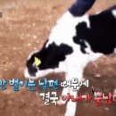 태안양계장 이미지