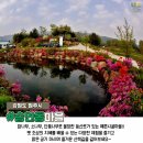 승안동마을 Daum카페