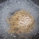 사계절농산