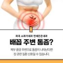 배꼽주변 통증 (왼쪽, 오른쪽, 위, 아래) 이미지