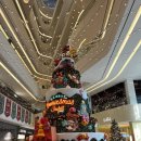 도그트리 이미지