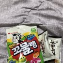 231204~231210 12월 둘째주의 기록