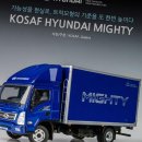 밀모 이미지