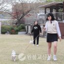 원광보건고등학교 이미지