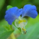 허브와야채 이미지