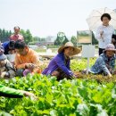전남대학교 농업실습교육원 이미지