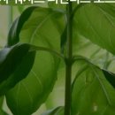 에르모소 스토어