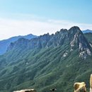 (주)사람과풍경 이미지