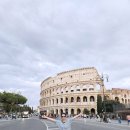 e좋은민박 | 이탈리아자유여행] 8Day 피렌체-로마 여행 (토도리민박, 로마재래시장, 로마로컬맛집, 진실의입, 콜로세움)