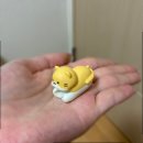 다이소강남세곡점 | 다이소 층전기 USB 단선 방지캡 고양이 c타입 8핀 내돈내산 후기
