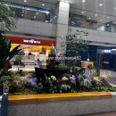 신한코리아 | 인천공항 공식 발렛파킹 예약 방법 주차대행 비용 신한카드 하이파킹 후기