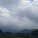 부동산밴드공인중개사사무소 이미지