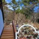 하얀둥지도브펜션 | 부산 기장 대변항 바다뷰 감성숙소 부산 독채펜션 [하얀둥지펜션 커플&amp;가족&amp;단체] 이용 후기