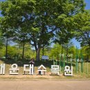 내셔널지오그래픽 어패럴 키즈탐험대 당첨 후기! 해운대수목원 다녀왔어요.