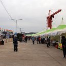 기장미역다시마축제 이미지