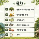 11500-15-14-08 | [공지] 영월 느티나무캠핑장 | 키즈캠핑장, 계곡, 실내수영장, 사이트 리뷰, 계곡존14 솔직후기