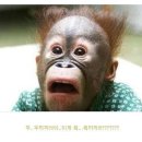 한우한돈명품관