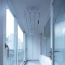 꿈나무수정 이미지