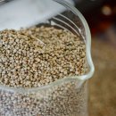 현식농장 이미지