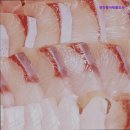 계양3동 | [인천 대방어 방어 횟집 추천!] 연안활어해물포차 신선한 해산물 맛집