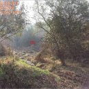 안골축사 이미지