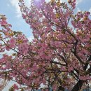 미사경정공원 이미지