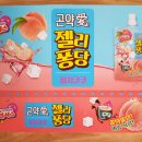 젤리퐁당 이미지