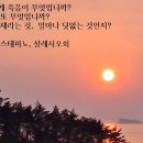 설묘지