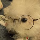 어른을 위한 그림책 인문학 | 모자의 숲 후기｜어른을 위한 그림책 추천｜김승연 작가