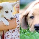 수장2농장 이미지