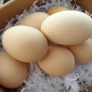 신암농장 이미지