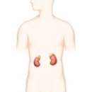 신촌동물병원 이미지