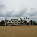 금능초등학교 이미지