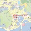 유림-43 이미지