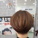 까슈헤어 네이버블로그