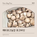 이기산농장 | 표고버섯선물세트, 해피표고농장 생표고버섯 후기