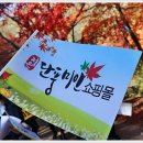 7080황진이 이미지