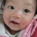 준용엔민용