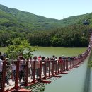 출렁다리 이미지