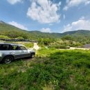 금산농장 2 이미지