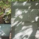 가섭암지화장실 네이버블로그