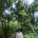 유심농장 이미지