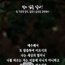 핸드폰 배경화면&잠금화면_20240602_빛의 삶을 살라!_요한복음 8장 12절_오순절 후 두 번째 주일 묵상_빛 가운데 장미_밀양시 이미지