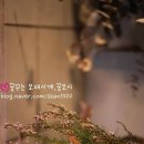 르풀 티스토리