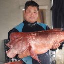 블루레저